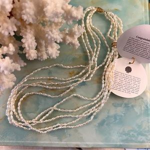 JACMEL 14k Gold Freshwater Pearl 5 Strand Necklace